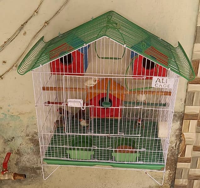 3 breeder pair finches f. s and 1 extra male with cage and 3 boxex 1