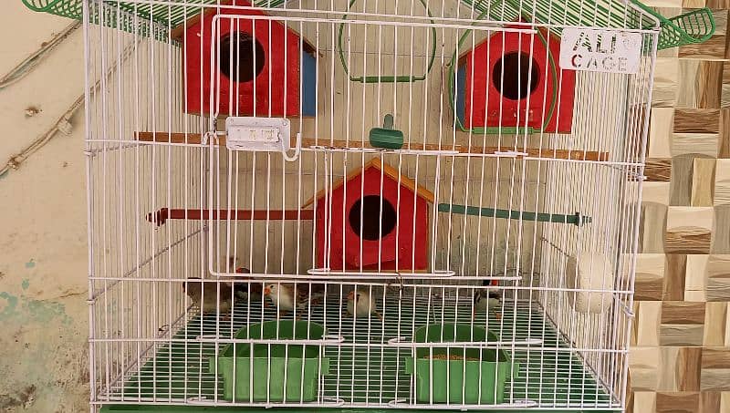 3 breeder pair finches f. s and 1 extra male with cage and 3 boxex 2