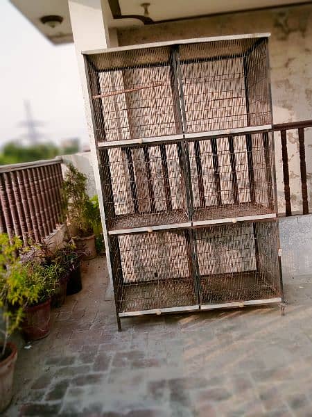 only cage for sale 6