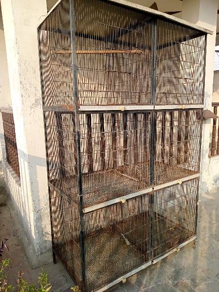 only cage for sale 8