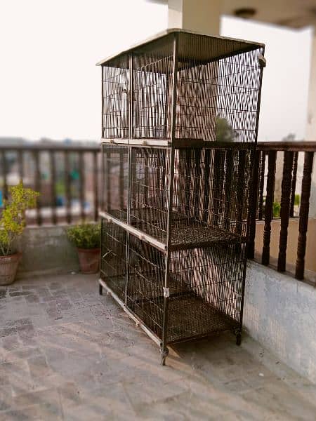 only cage for sale 9