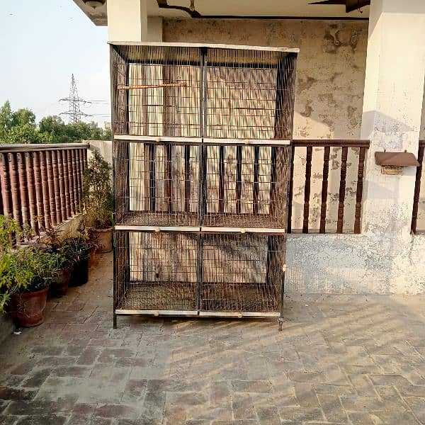 only cage for sale 10