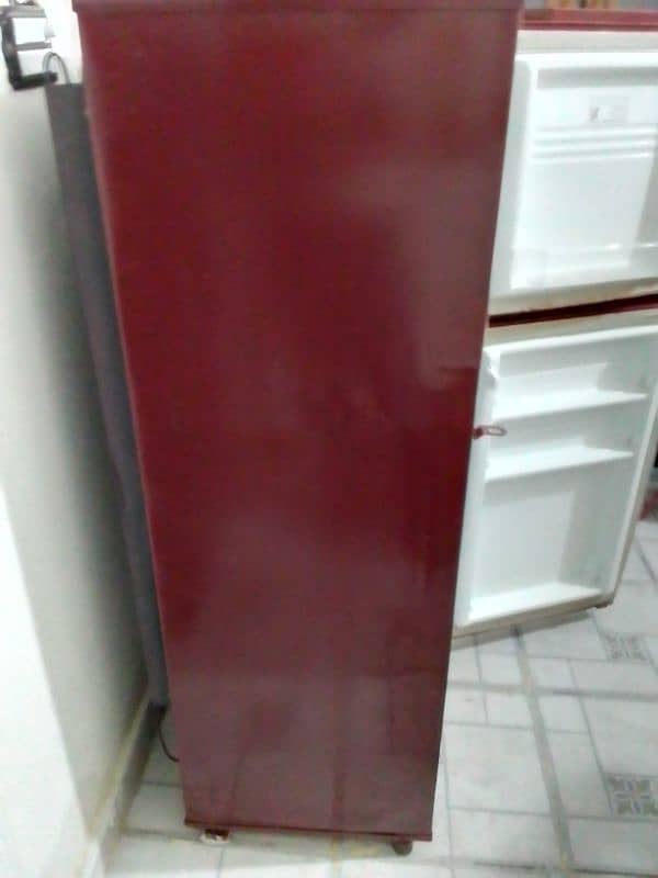 pel fridge 2