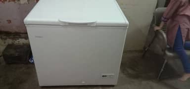 Haier Deep Freezer Single Door