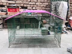 Birds cage iron