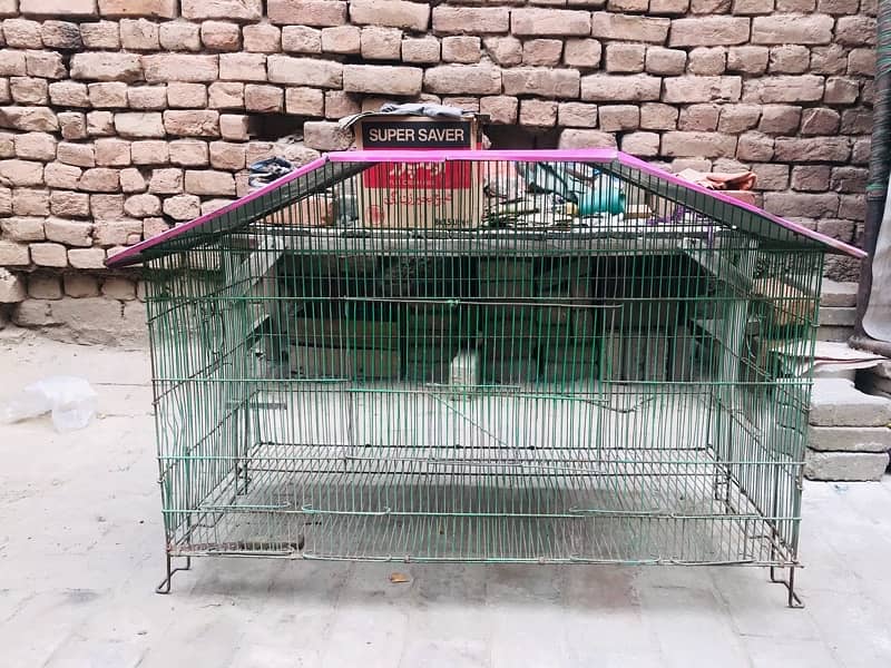 Birds cage iron 2