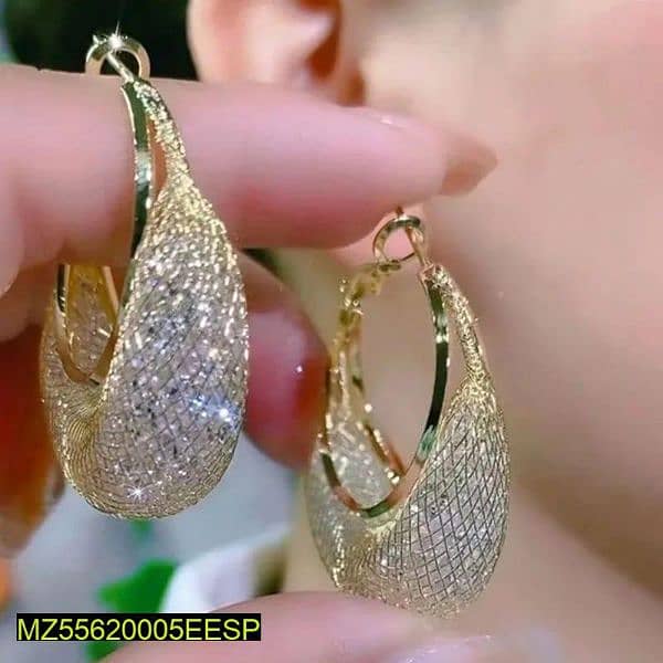 Beautiful Mesh & Zircon Drop Earrings 0