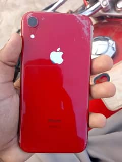 Iphone XR 128gb Pta approve