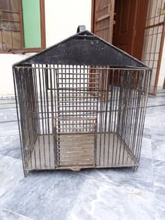 hen,parrots cage