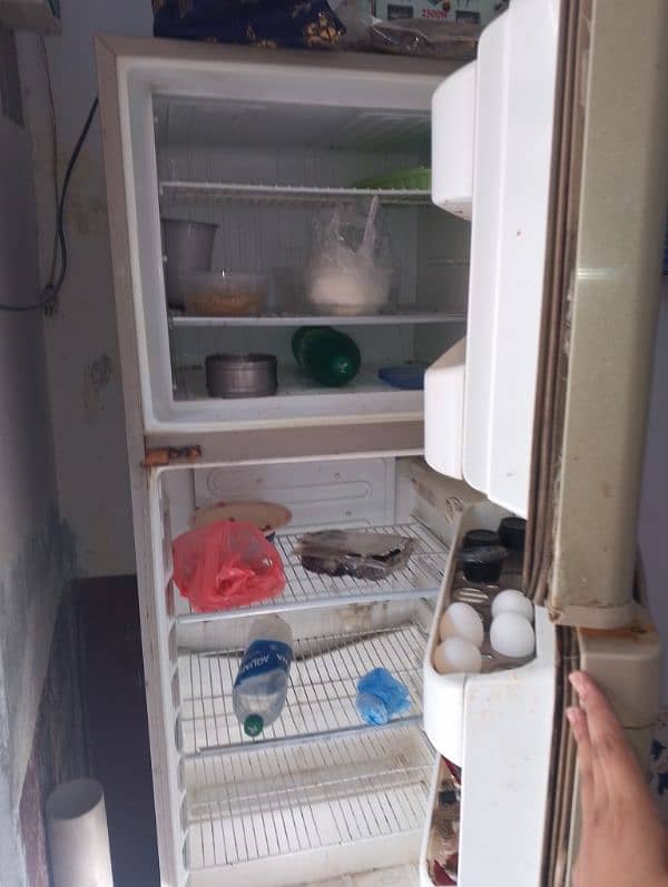 fridge/refrigerator 2