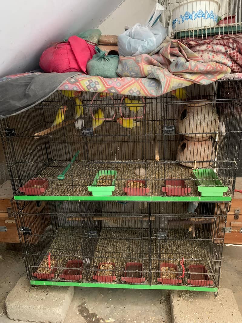 CAGE FOR SALE 3 PORTIONS EACH 1