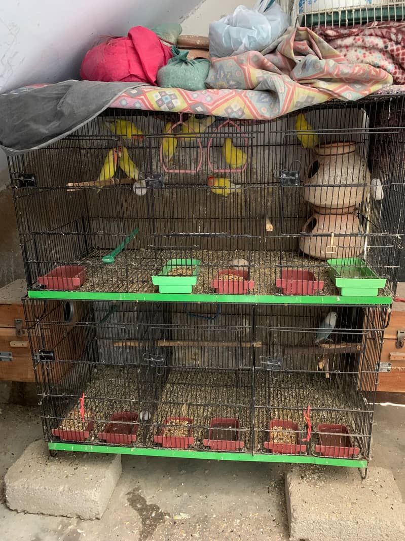 CAGE FOR SALE 3 PORTIONS EACH 2