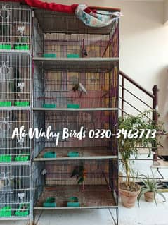 4 Portion Good Condition Big Size Cage