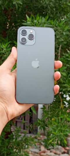 iphone 12pro max