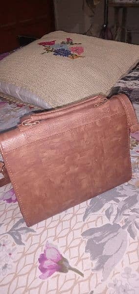 leather Handbag 2