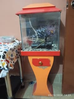 aquarium