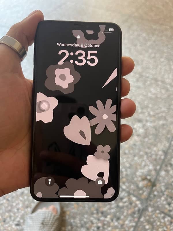 xs max 256gb pta approved 6