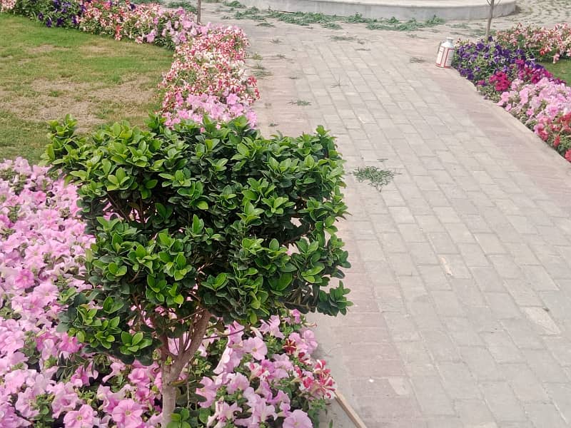 5 Marla Double Road Plot Available In Mardan Enclave 9