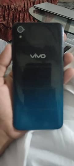 vivo