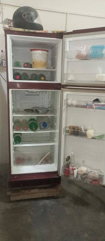 pel refrigerator 2