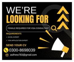 Required female visa expert/ visa consultant