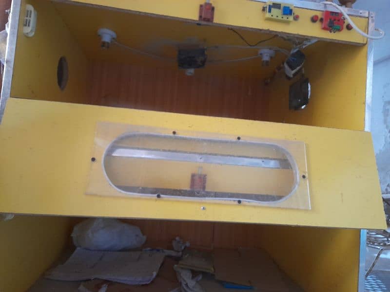 brooder  high quality 200 chicks capacity 4