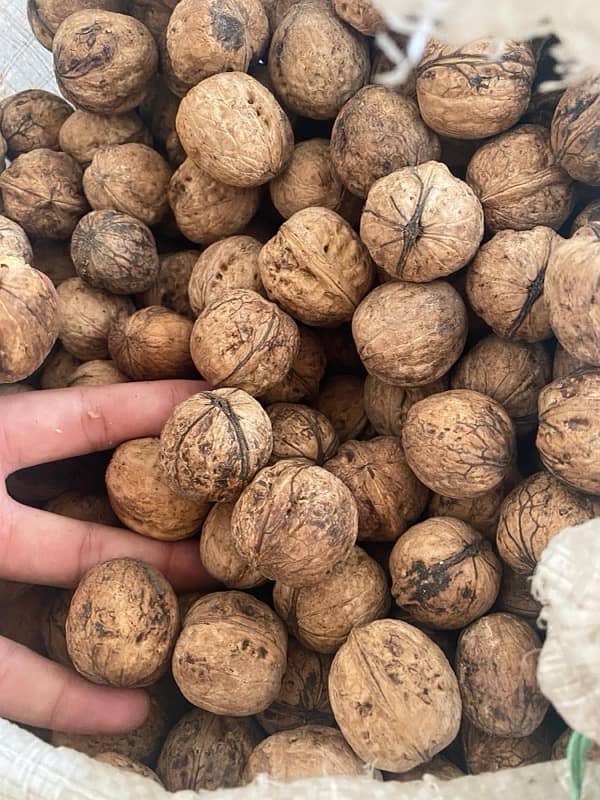 fresh dir kumrat walnuts for sale per kg 700 0