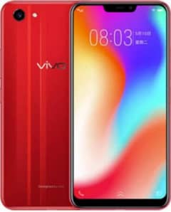 vivo