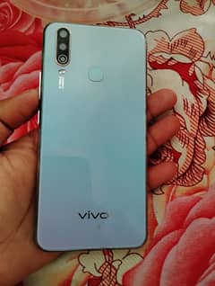 Vivo