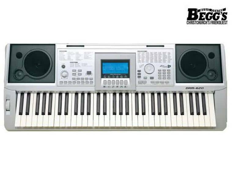 piano professional keyboard touch sensetive keys midi mic arranger 0