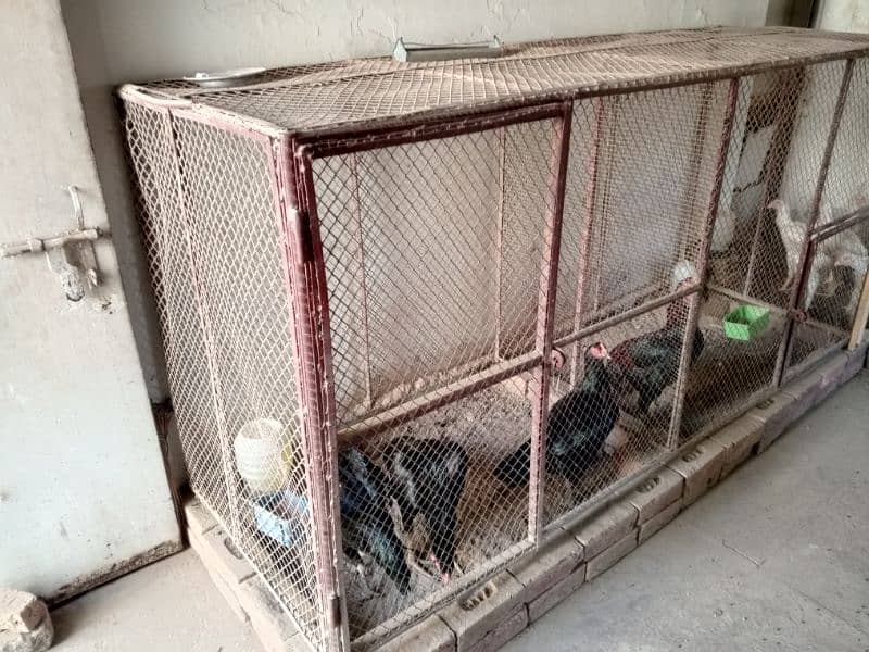 big cage full heavy weight for sale 2