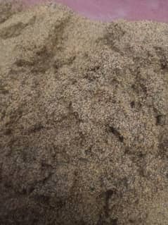 River sand for aquarium