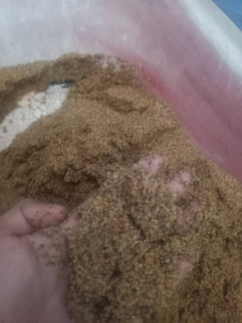 River sand for aquarium 1