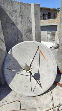 Dish With Receiver