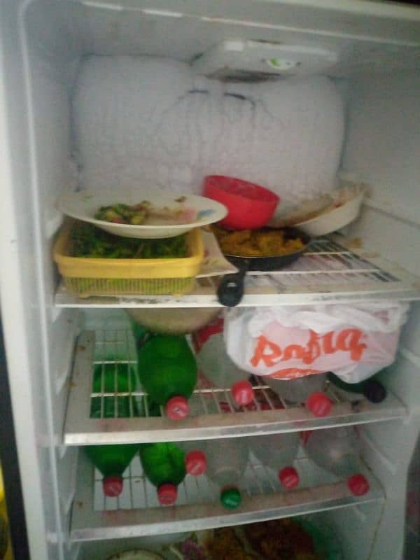 pell Glass door fridge 2