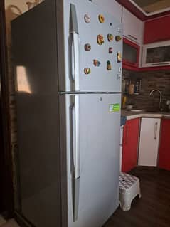 LG full size fridge