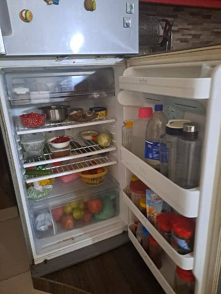 LG full size fridge 2