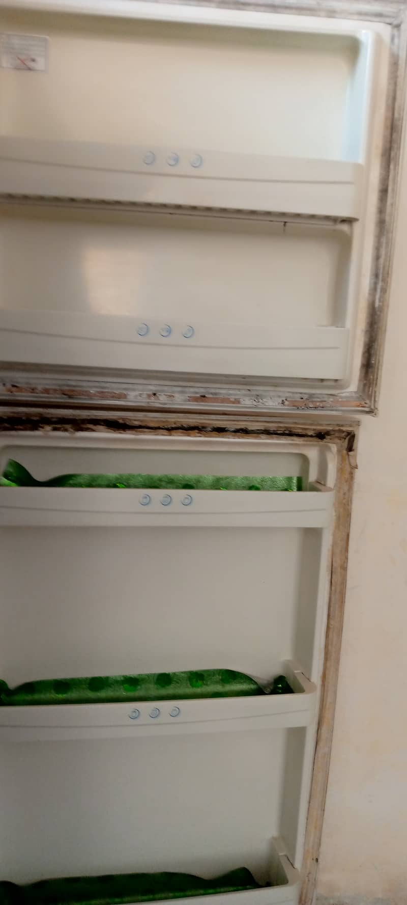 Haier Refrigerator for urgent sale 2