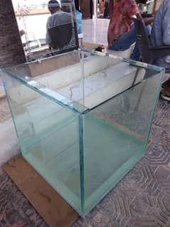 Fish Aquarium 0