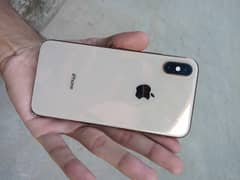 iphone xs golden colour