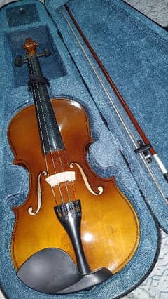 Violin