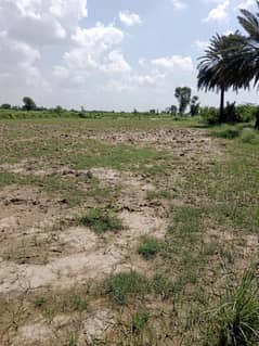 agriculture land for sale