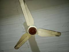 ceiling fan 0