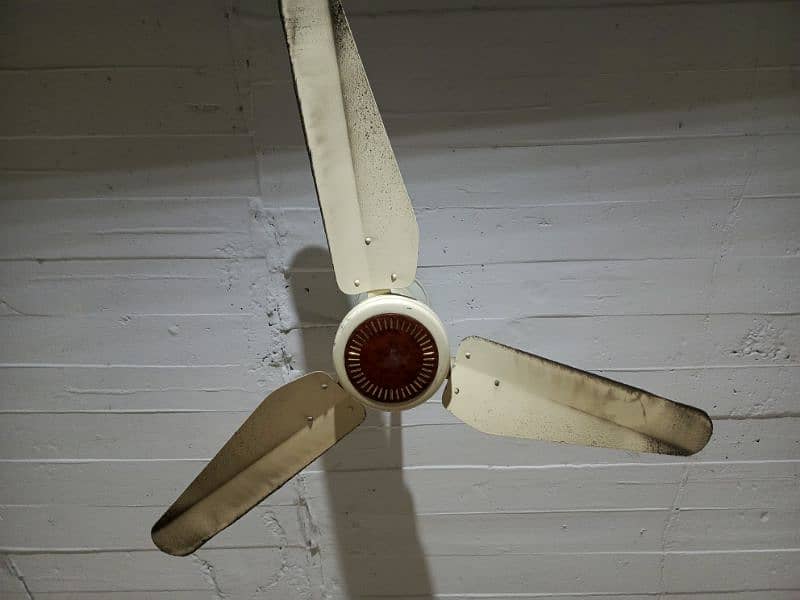 ceiling fan 1