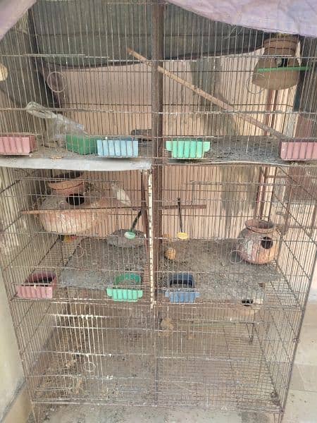 Birds cage - 6 portions option 0