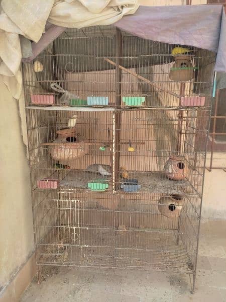 Birds cage - 6 portions option 1