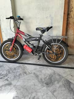 Safari Mountain bike (good condition)