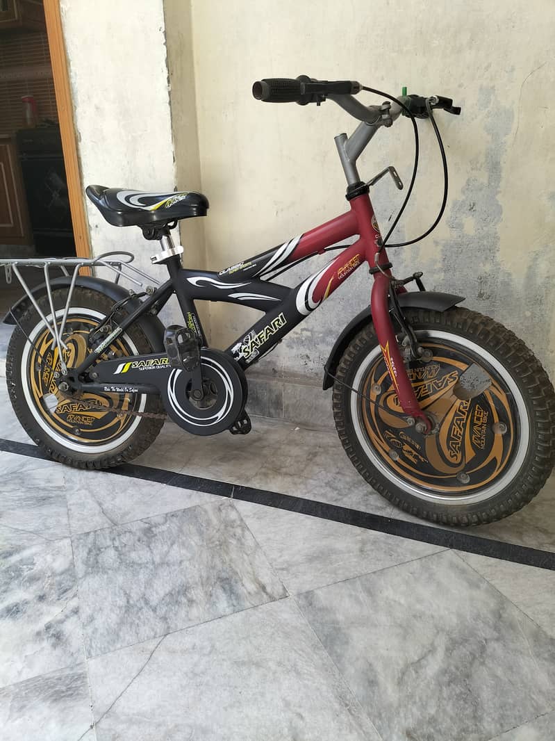 Safari Mountain bike (good condition) 1