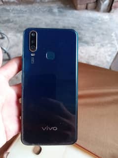 vivo