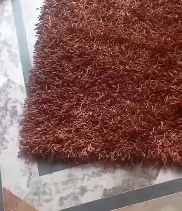 Beautiful ,strong and stylish Rug 4